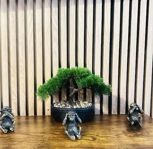 Appartement Le Refuge Laon